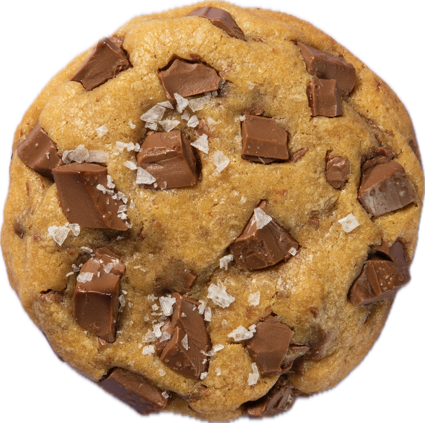 Chocolate Chip Cookie