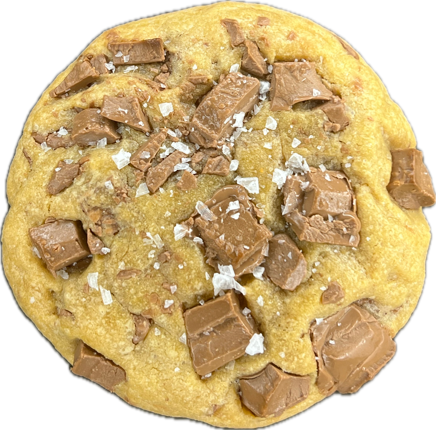 Chocolate Chip Cookie